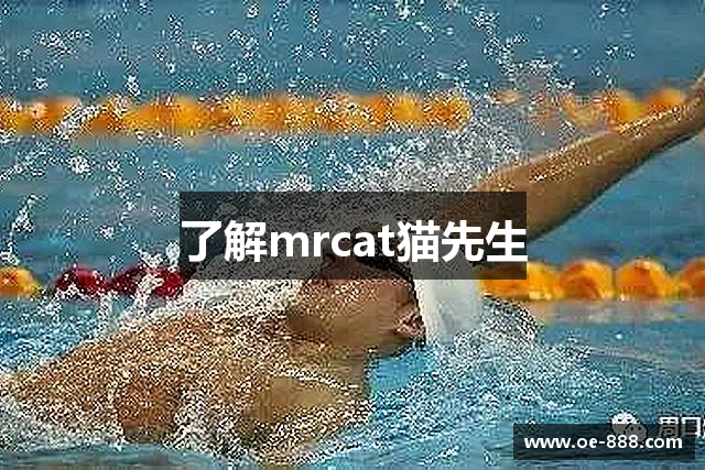 了解mrcat猫先生